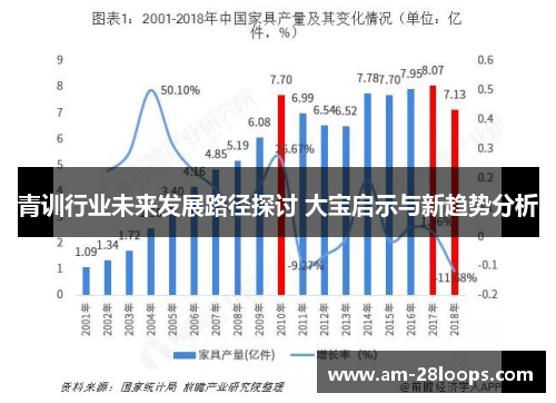 青训行业未来发展路径探讨 大宝启示与新趋势分析