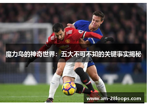 魔力鸟的神奇世界:五大不可不知的关键事实揭秘 魔力鸟的神奇世界:五大不可不知的关键事实揭秘