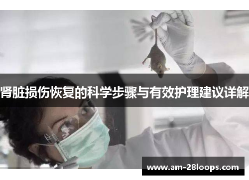 肾脏损伤恢复的科学步骤与有效护理建议详解 肾脏损伤恢复的科学步骤与有效护理建议详解