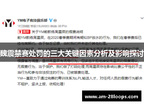 魏震禁赛处罚的三大关键因素分析及影响探讨 魏震禁赛处罚的三大关键因素分析及影响探讨